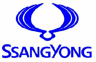 Commercial (tuned) Ssang Yong firmware